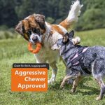 EASTBLUE Hunde-Kauknochen-Spielzeug für Aggressive Kauer Besonders zäher Naturkautschuk, Welpen Kauspielzeug, langlebig und nahezu unverwüstlich für mittlere und grosse Rassen – Bild 6