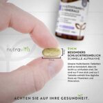 Multivitamin & Mineralstoffe - 365 hochdosierte Tabletten mit Bioaktiv-Formen und Premium-Rohstoffen - Unabhängig Laborgetestet - vegane, Multivitamintabletten mit 26 aktiven Vitamine & Mineralstoffe – Bild 6