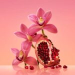 CALVIN KLEIN Euphoria Eau de Parfum for her, orientalisch-blumiger Damenduft – Bild 6