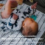 WaterWipes Feuchttücher für Babys, die reinsten Baby Feuchttücher für zarte Babyhaut, kompostierbare – Bild 5