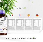 Multivitamin & Mineralstoffe - 365 hochdosierte Tabletten mit Bioaktiv-Formen und Premium-Rohstoffen - Unabhängig Laborgetestet - vegane, Multivitamintabletten mit 26 aktiven Vitamine & Mineralstoffe – Bild 5