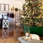 Koopower LED Lichterkette mit Timer Batteriebetrieben, Outdoor Lichterkette für aussen/innen – Bild 5