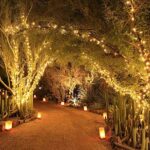 Joomer Solar Lichterkette Aussen, 22M 200 LED Lichterkette IP65 Wasserdicht Weihnachten Aussenlichterkette 8 Modus Balkon Lichterkette Solar Deko für Garten, Tor, Hof, Hochzeit – Bild 8