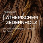 L'Oréal Men Expert Festes Shampoo für Männer, XL-Seifenstück zur Reinigung von Körper, Haar & Bart, Mit pflegendem Zedernholzölkomplex, Barber Club, 1 x 80 g – Bild 8