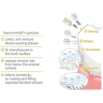 APAGARD® PREMIO Remineralisierende nano Hydroxyapatit Zahncreme für natürlich weissere Zähne, 100 g, Premium Typ, Doppelminz Geschmack – Bild 4