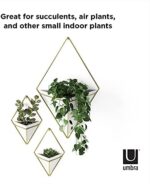 Umbra Trigg Wandvase & Geometrische Deko – Bild 6