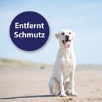 Canosept Ohrpflege Finger-Pads für Hunde – Ohrreiniger für Hunde - Pflege & Hygiene - Hunde Ohrenreinger – Bild 4