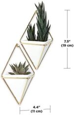 Umbra Trigg Wandvase & Geometrische Deko – Bild 14