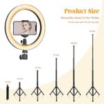 10 Zoll LED Ringlicht mit 59 Zoll Stativständer & Handyhalter, Dimmbare Tischringlicht für YouTube-Videoaufnahmen, Selfie, Live-Stream, Makeup/Fotografie Kompatibel mit Smartphone – Bild 4