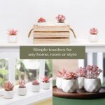 VIVERIE Künstliche Sukkulenten Pflanzen Topfset-Dekorative Gefälschte Sukkulenten Faux Plastikpflanze Indoor & Outdoor für Haus Büro Schreibtisch Badezimmer Küche DIY Dekor Geschenkset von 4, Rosa – Bild 2