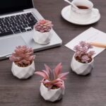 VIVERIE Künstliche Sukkulenten Pflanzen Topfset-Dekorative Gefälschte Sukkulenten Faux Plastikpflanze Indoor & Outdoor für Haus Büro Schreibtisch Badezimmer Küche DIY Dekor Geschenkset von 4, Rosa – Bild 4