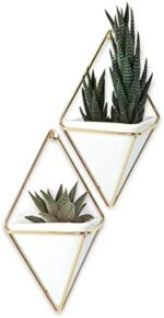 Umbra Trigg Wandvase & Geometrische Deko – Bild 13