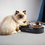 PETKIT CYBERTAIL Katzen Erhöhte Schüssel Edelstahl, gekippter Hund Katzen Erhöhte Futternäpfe Lebensmittelqualität, rutschfeste No Spill Haustier Fütterungsschalen für Katzen und kleine Hunde – Bild 9