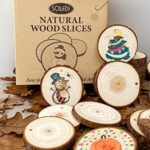 SOLEDI Natürliche Premium Holzscheiben Runde 8-9cm 26 Stücke zum Basteln - Baumscheiben mit Loch für Malerei, DIY, Weihnachten deko - Fest und Stabil Astscheiben mit Lanyard – Bild 4