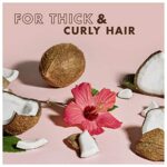SheaMoisture Coconut & Hibiscus sulphate free Curl & Shine Shampoo for thick, curly hair 384 ml – Bild 4