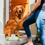 Earth Rated Kompostierbare Reinigungstücher für Hunde, 100 Stück, mit Lavendelduft – Bild 7
