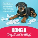 KONG, Puppy Toy Naturkautschuk zur Zahnungshilfe, Kauen, Jagen, Apportieren (Farbvar.), Für Kleine Welpen – Bild 5