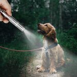 Toozey LED Pointer Katzen Hund Spielzeug Haustier LED Light Licht Pointer mit USB Wiederaufladbar, Bonus Zwei kleine Mäuse Spielzeug – Bild 6