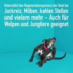 Green Hero Haustierpflege 500ml Pflegt die Haut bei Juckreiz Grasmilben Milben Pilz Räude Reizungen Läusen und unterstützt den Regenerationsprozess für Hund und Katze – Bild 4