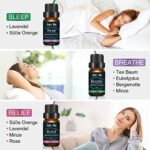 Janolia Ätherisches Öle Set, Upgrade Paket,Reines Natürliche Duftöle Set für Diffuser Entspannung Schlaf verbessern – Bild 2