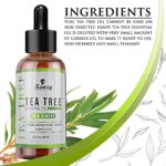 Kanzy Teebaumöl Bio Naturrein 60ml mit Pipette Kaltgepresst Tea Tree Oil für Gesicht, Haut, und Nagel Anti Pickel, Akne Öl, Acne Serum gegen Unreine Haut Ätherische Öle für Diffuser – Bild 2