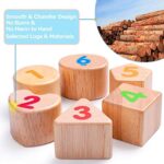 Rolimate Xylophon und Hammerspiel Spielzeug ab 1 Jahr, 3 in 1 Montessori Pädagogisches Vorschullernen Musikspielzeug Holzspielzeug Nachziehspielzeug Geburtstagsgeschenk fur Kinder Baby – Bild 4