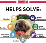 KONG, Puppy Toy Naturkautschuk zur Zahnungshilfe, Kauen, Jagen, Apportieren (Farbvar.), Für Kleine Welpen – Bild 8