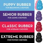 KONG, Puppy Toy Naturkautschuk zur Zahnungshilfe, Kauen, Jagen, Apportieren (Farbvar.), Für Kleine Welpen – Bild 3