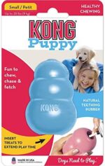 KONG, Puppy Toy Naturkautschuk zur Zahnungshilfe, Kauen, Jagen, Apportieren (Farbvar.), Für Kleine Welpen – Bild 7