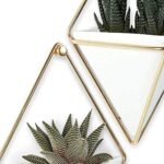 Umbra Trigg Wandvase & Geometrische Deko – Bild 15