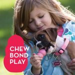 KONG, Puppy Toy Naturkautschuk zur Zahnungshilfe, Kauen, Jagen, Apportieren (Farbvar.), Für Kleine Welpen – Bild 6