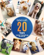 oneisall schermaschine hund pfoten Leise hundeschermaschine pfotentrimmer pfotenrasierer für Hunde Katzen Pfoten, Augen, Ohren, Gesicht, Körper – Bild 7