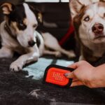 Lilly Mini Bürste, zum Entfernen von Haustier, Hunde, Katzenhaaren, Haarentferner – Bild 4