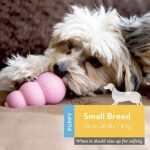 KONG, Puppy Toy Naturkautschuk zur Zahnungshilfe, Kauen, Jagen, Apportieren (Farbvar.), Für Kleine Welpen – Bild 2