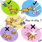 Chiwava 4 Stück 6cm Quitschende Hundespielzeug Latex Lustige Tier-Sets für Klein Hunde Interaktives Spielen Sortiert Farbe – Bild 5