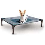 KH, Original Pet Cot, erhöhtes Haustierbett für Hunde und Katzen