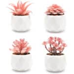 VIVERIE Künstliche Sukkulenten Pflanzen Topfset-Dekorative Gefälschte Sukkulenten Faux Plastikpflanze Indoor & Outdoor für Haus Büro Schreibtisch Badezimmer Küche DIY Dekor Geschenkset von 4, Rosa