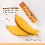 4er Burt's Bees 100% Natural Lip Balm – Bild 4