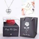 Handgefertigte konservierte Rosen schmuck-Geschenk Box mit Splitter Halskette für sie, Rosen Geschenke für Frauen für Valentinstag, Muttertag, Jahrestag, Geburtstag für Mutter, Schwester, Ehefrau – Bild 7