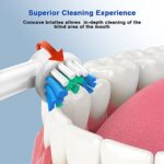 REDTRON Aufsteckbürsten für Oral B 8er & 16er, Elektrische Zahnbürsten Ersatzköpfe für Precision Clean, Zahnbürstenköpfe kompatibel mit Pro1000 Pro3000 Pro5000 Pro7000 und mehr – Bild 5