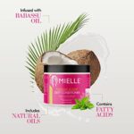 Mielle Organics Babassu & Mint Deep Spülung mit Protein, 227 g – Bild 3