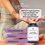 Marine Collagen Kapseln Hochdosiert mit Hyaluronsäure, Magnesium, Vitamin C. Kollagen Hydrolysat PEPTAN Hyaluron. Skincare. Gelenk Knochen Hautpflege. 90 Pflanzliche Kapseln. EU. N2 Natural Nutrition – Bild 2