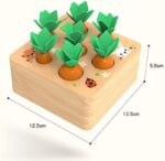 XIAPIA Holzspielzeug ab 1 Jahr, Baby Motorik Spielzeug für 12 Monate Jungen und Mädchen, Montessori Sortierspiel Holzpuzzle Karottenernte, Lernspielzeug für Kinder als Geburtztag Geschenk – Bild 6