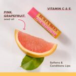 4er Burt's Bees 100% Natural Lip Balm – Bild 3
