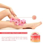 O Naturals Ultra-Reinigendes Körperpeeling Damen Grapefruit Und Vanille - Feuchtigkeitsspendend Body Scrub Peeling - Totes Meer Peeling Körper Peeling Gesicht Body Peeling Für Akne & Tote Haut – Bild 5