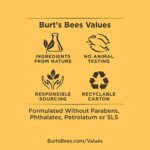 4er Burt's Bees 100% Natural Lip Balm – Bild 11