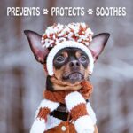 Musher's Secret Paw Protection Pfotenschutz, Pfotenbalsam Und Pfotenpflege Fur Hunde – Bild 5