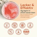 Collagen mit Elastin und Hyaluronsäure - Kollagen Hydrolysat Peptide Type I, II und III - 450 Gramm Pulver – Bild 6