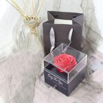 Handgefertigte konservierte Rosen schmuck-Geschenk Box mit Splitter Halskette für sie, Rosen Geschenke für Frauen für Valentinstag, Muttertag, Jahrestag, Geburtstag für Mutter, Schwester, Ehefrau – Bild 2
