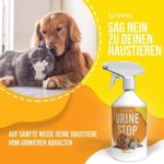 PETSLY Mildes Hunde & Katzenabwehrspray, Hygienisches Hunde & Katzenspray gegen urinieren im Haus, auch als Kratz & Knabberschutz, Anti Hunde Spray zur Hundeabwehr oder als Katzenschreck Spray 500ml – Bild 2
